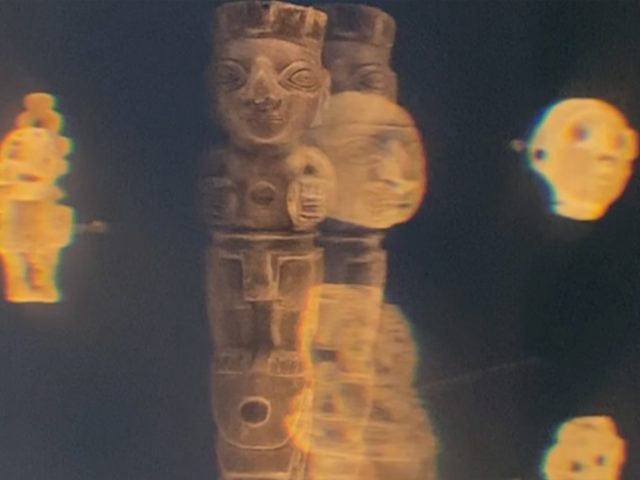 © Oligor y Microscopía