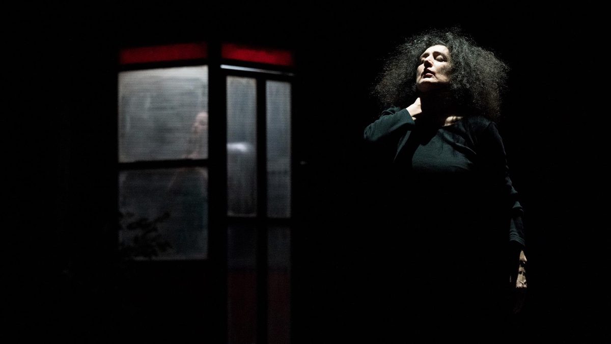 © Alfredo Toriello